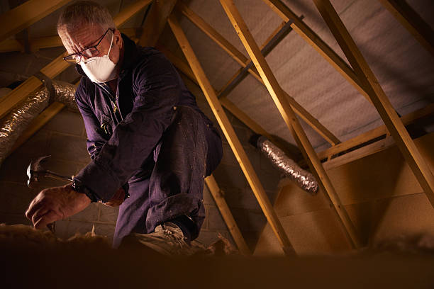 Best Insulation Installation Services in Sloan, NY